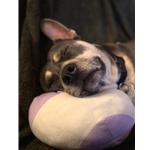 Playing Comfort