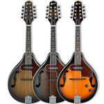 Mandolin