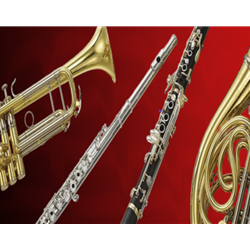 Band Accessories