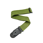D'Addario Polypropylene Guitar Strap, Green