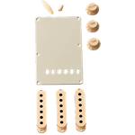 Fender Stratocaster® Accesory Kit (Clearance)