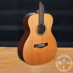 Teton Grand Concert Guitar