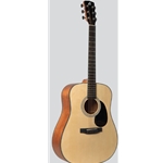 Amahi HSGT510 Acoustic Guitar w/ bag