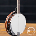 Ibanez 5-String Banjo Natural