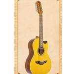 H. Jiminez Bajo Quinto GT W/Bag