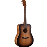 Teton Acoustic Guitar