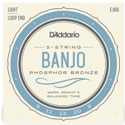 D'Addario EJ69 5-String Banjo Strings, Phosphor Bronze, Light, 9-20