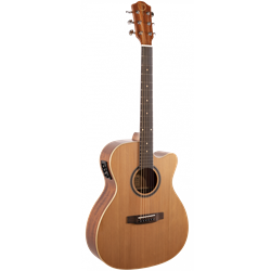Teton Acoustic Electric Guitar