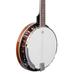 Ibanez 5-String Banjo Natural