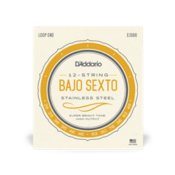 D'Addario EJS86 Bajo Sexto Stainless Steel